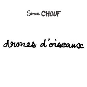 Drones d'oiseaux