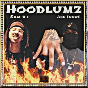 HOODLUMZ (feat. Ace $now$)