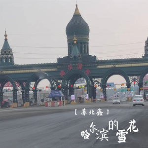 哈尔滨的雪花