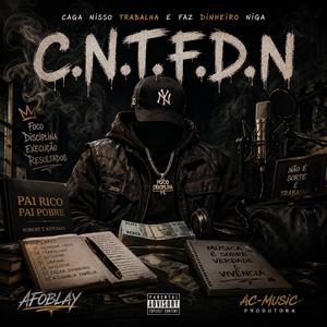 CNTFDN (Caga Nisso Trabalha e Faz Dinheiro Niga)