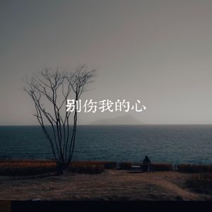 别伤我的心