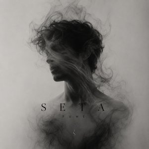 Seta