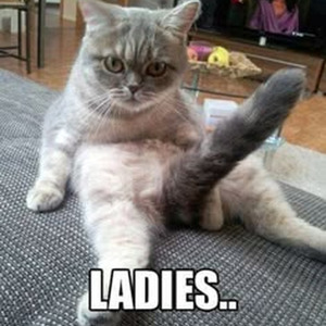 Newest Greatest (sped up)