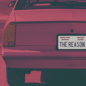 The Reason