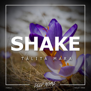 Shake (Original Mix)