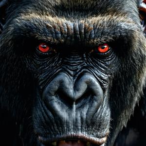 ปลุกสัตว์ร้าย (ออกกำลังกาย ยิม แรงบันดาลใจ ฟิตเนส เพลงปั๊ม พลังงาน)