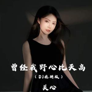 曾经我野心比天高 (DJ德朋版)