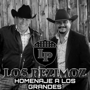 POPURRI (NO VUELVO A AMAR, TU VIDA NO ME IMPORTE, VEN A BUSCARME)
