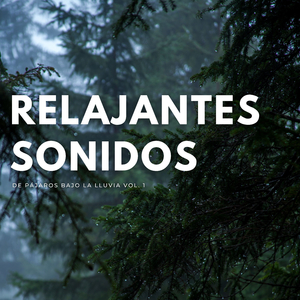 Llovencia De La Lluvia Acogedora De La Cabina Del Ambiental
