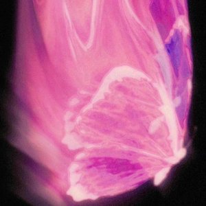 砚山的冬天没有雪