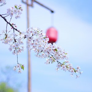 梦里江南遇见你