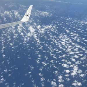 종이비행기