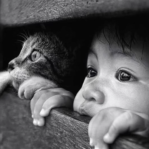 DJ - 英文舞曲残血家族开场音乐