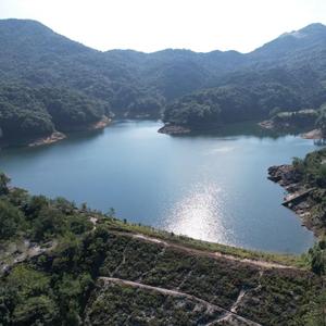 谠山 谠山