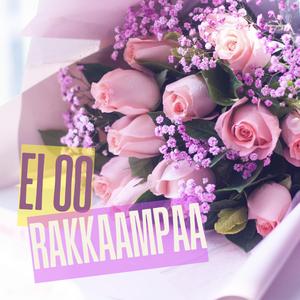 Ei oo rakkaampaa
