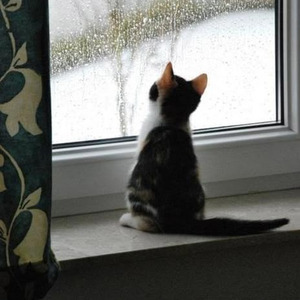 Look Out Weekend (sped up)