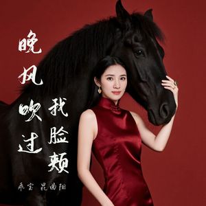 晚风吹过我脸颊