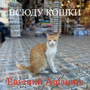 ВСЮДУ КОШКИ