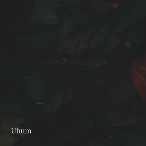 Uhum