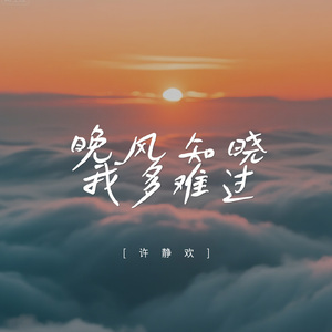 晚风知晓我多难过