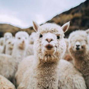 Back One Day (Nightcore)