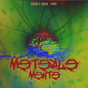 Meterle Mente