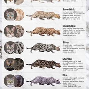 Pon De Floor (slowed)