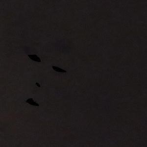 The Reaper With 3 Hands