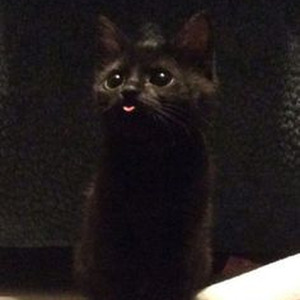 You Can't Touch Me (slowed)