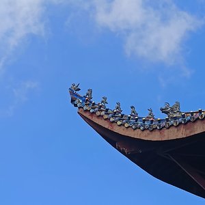 【电吉他】我们的爱