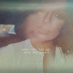 Now You See Me Now You Don't