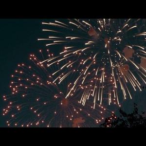 ヘリオトロープ