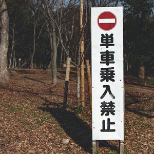 ここにしか咲かない花