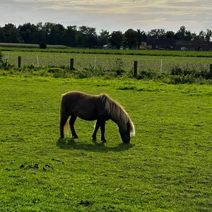 I'm Gonna Diss U Right Now