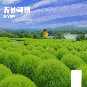 雨中熄灭的烛火