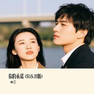 你的承诺  (R&B版) (Cover 抒恒)