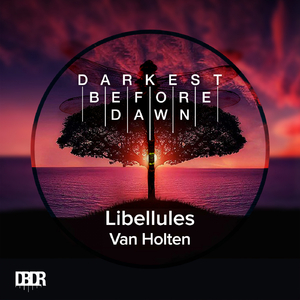 Libellules (Original Mix)