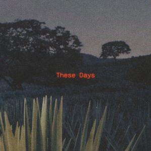 These Days (feat. parallel)