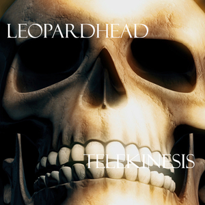 Telekinesis (instrumental)