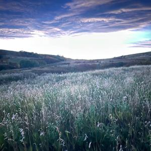 Voices (feat. k4iyaz & aeter)