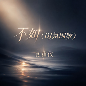 不如(DJ氛围版)