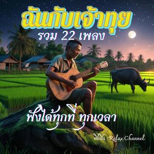 ค่ำนี้ที่กลางนา