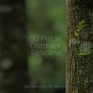 Desenredarse bajo los cielos estrellados