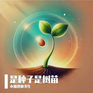 遇见你的时候所有星星都落到我头上