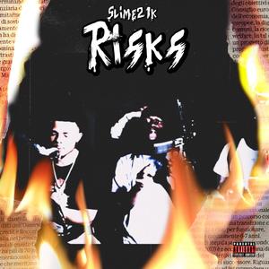 Risks