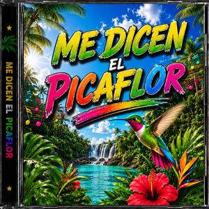 ME DICEN EL PICAFLOR