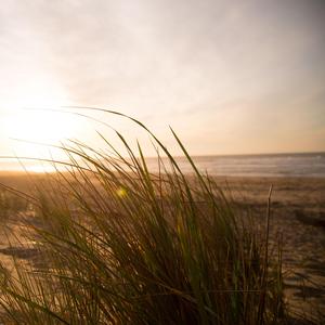 Pfeife der Natur, Pt. 2