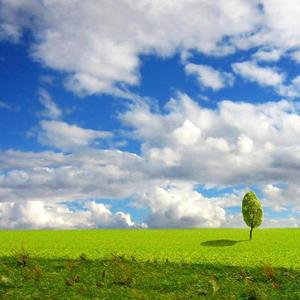 当你老了（翻自 赵照）