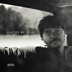 Wanted Me To Be