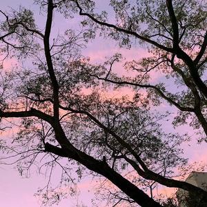Lonely Tenderness